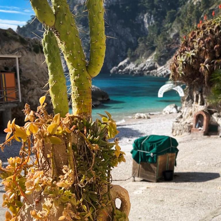 Capri Suite on the beach - Casa con 1 Camera da Letto - 28