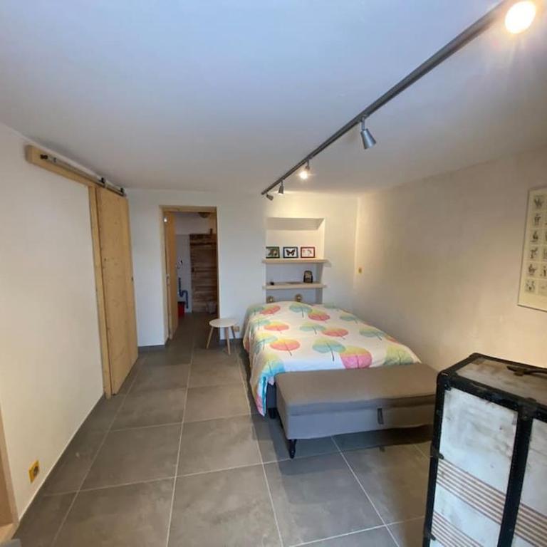 Dans hameau, près des pistes logement de plein pied au calme - Maison 1 Chambre - 8
