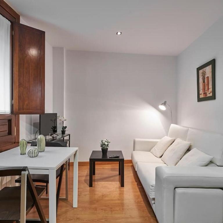 Deluxe Apartment Granada - One-Bedroom Apartment - 1