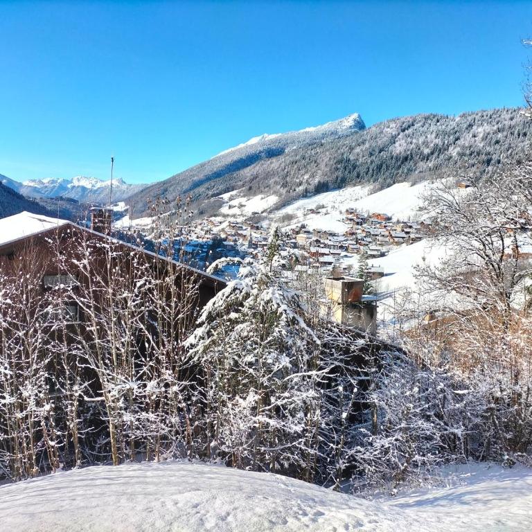 Studio belle vue sur les montagnes - One-Bedroom Apartment - 2