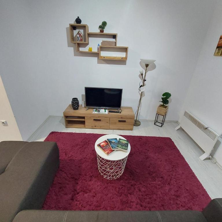 Apartman ST.Nedeljkovic Sokobanja - Porodični Studio - 25