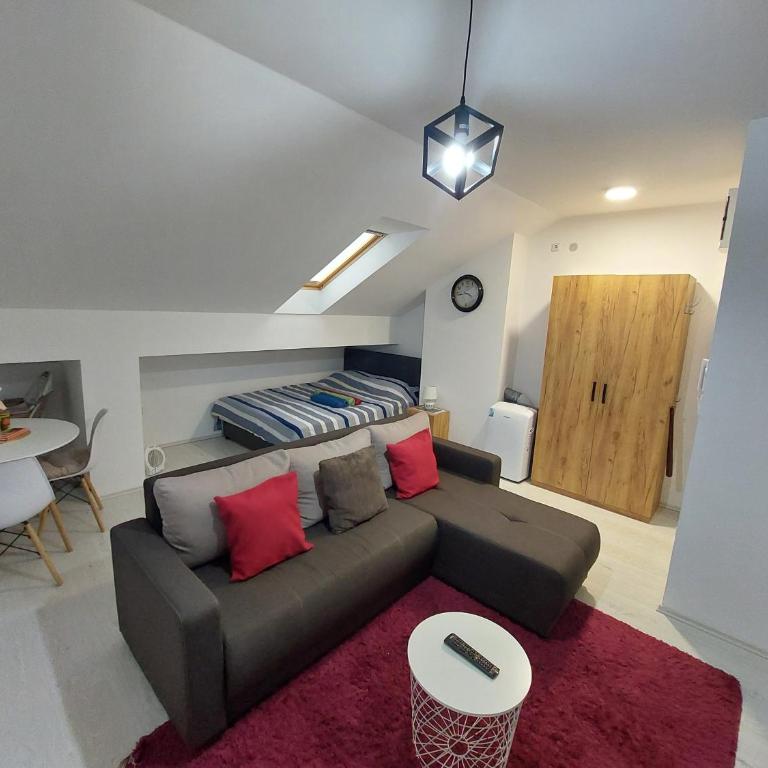 Apartman ST.Nedeljkovic Sokobanja - Porodični Studio - 27
