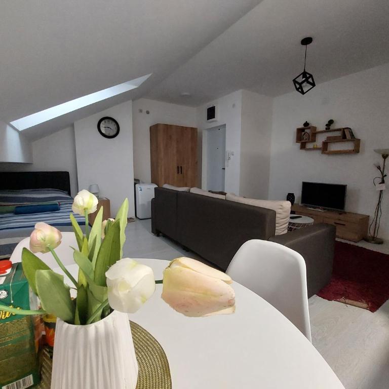 Apartman ST.Nedeljkovic Sokobanja - Porodični Studio - 28