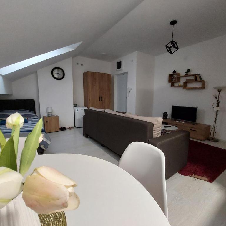 Apartman ST.Nedeljkovic Sokobanja - Porodični Studio - 31