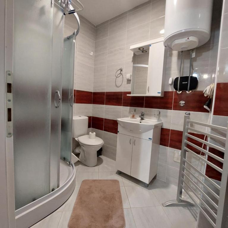 Apartman ST.Nedeljkovic Sokobanja - Porodični Studio - 32