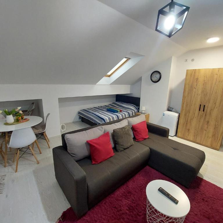 Apartman ST.Nedeljkovic Sokobanja - Porodični Studio - 39