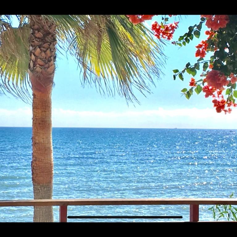 MI CAPRICHO BEACHFRONT- P300 - Apartment with sea view - Apartamento de 2 dormitorios - 20