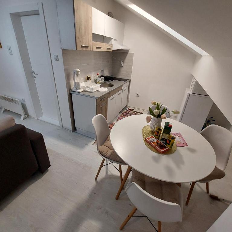 Apartman ST.Nedeljkovic Sokobanja - Porodični Studio - 41