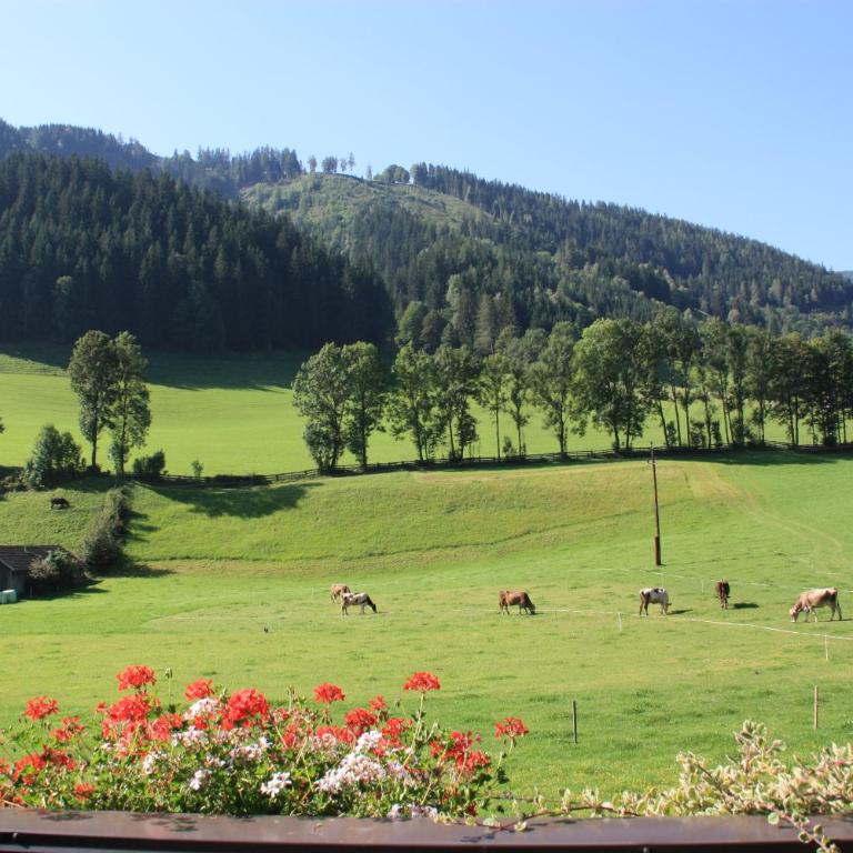 Blonbauer - Familienzimmer mit Terrasse - 1