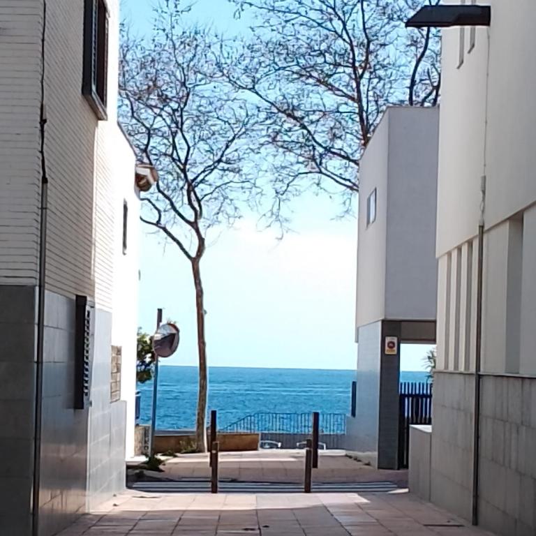 Pis pràctic i agradable sobre la Marina Palamós - Apartamento de 2 dormitorios - 23