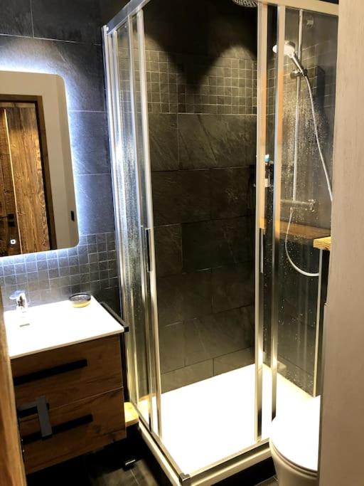 Top floor appartment, ski in ski out, superb view - Appartement 3 Chambres - 17