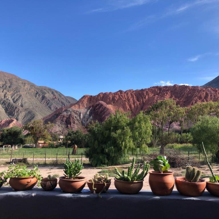 Las Lavandas Purmamarca - Apartamento de 3 dormitorios - 1