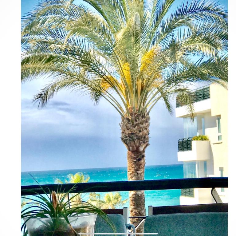 MI CAPRICHO BEACHFRONT- P300 - Apartment with sea view - Apartamento de 2 dormitorios - 1