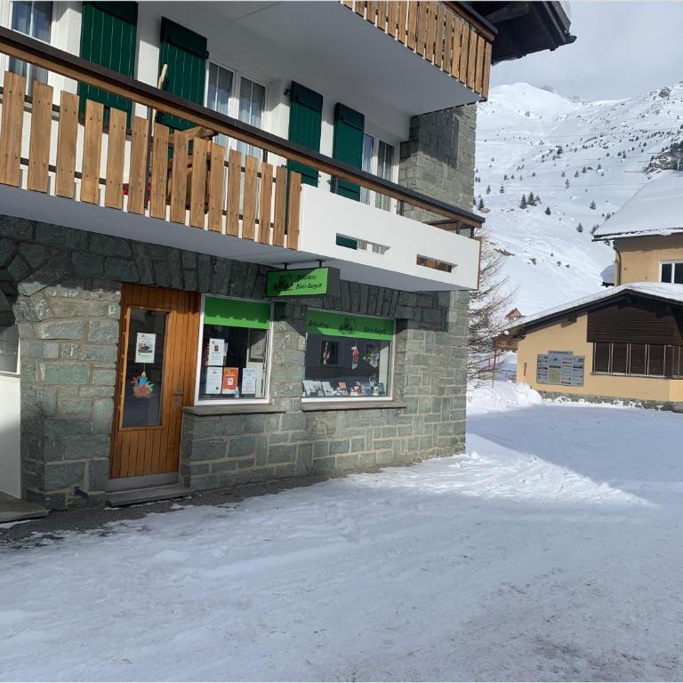 Heimelige Ferienwohnung mit Sicht in die Bergwelt - Apartment mit 1 Schlafzimmer - 44