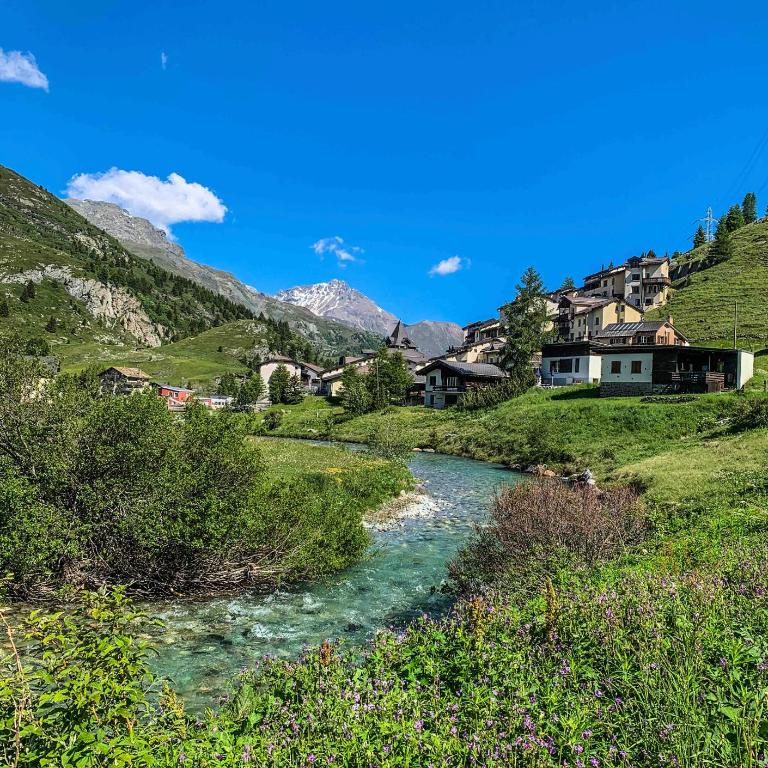 Heimelige Ferienwohnung mit Sicht in die Bergwelt - Apartment mit 1 Schlafzimmer - 52
