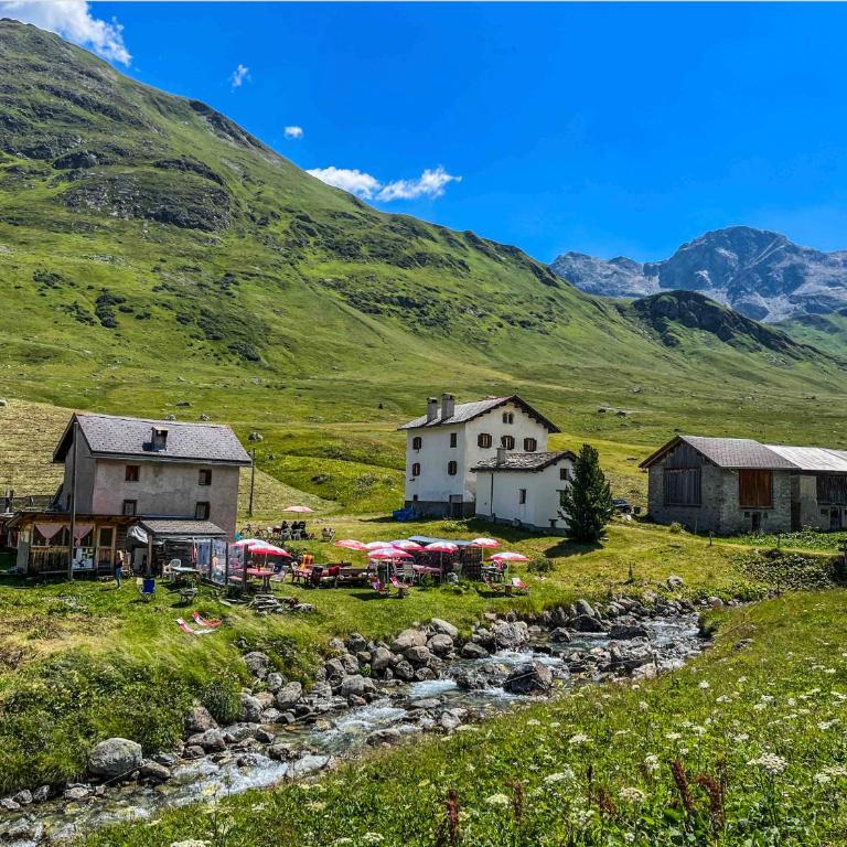 Heimelige Ferienwohnung mit Sicht in die Bergwelt - Apartment mit 1 Schlafzimmer - 58