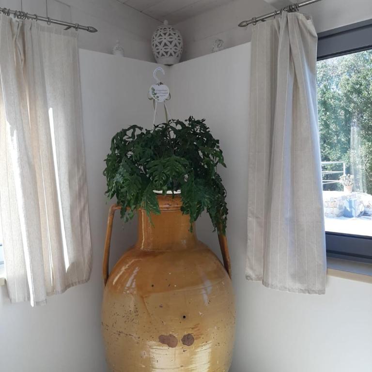 DA NONNO NICOLA - Casa con 2 Camere da Letto - 10