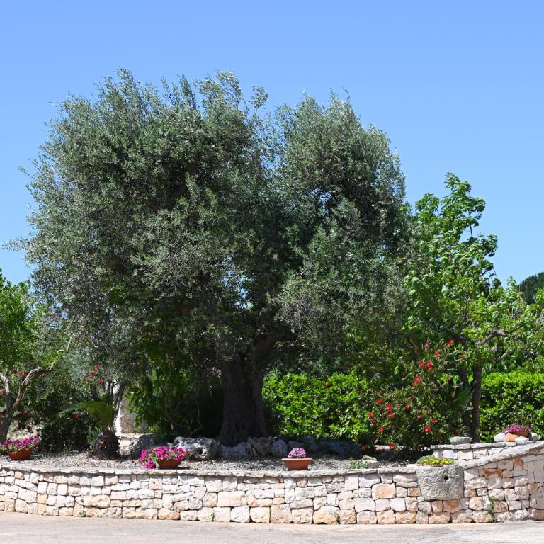 Masseria Peppeturro - Trullo Superior con 2 Camere da Letto - 12