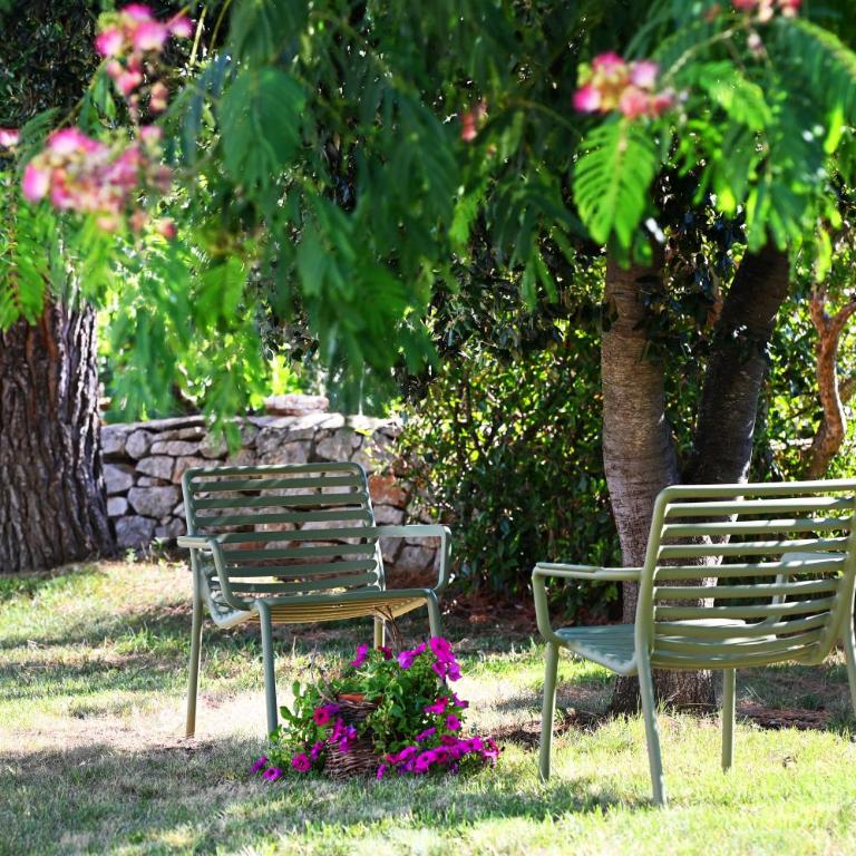 Masseria Peppeturro - Trullo Superior con 2 Camere da Letto - 15