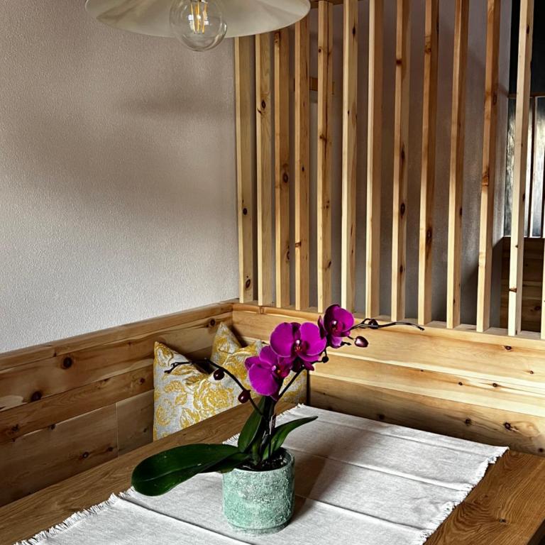 Lüch dl Finatzer - Appartamento con 1 Camera da Letto - 4