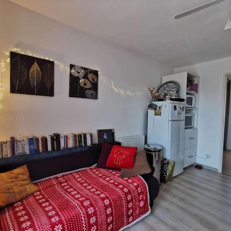 Frontignan au Clair de plage - Appartement 1 Chambre - 13
