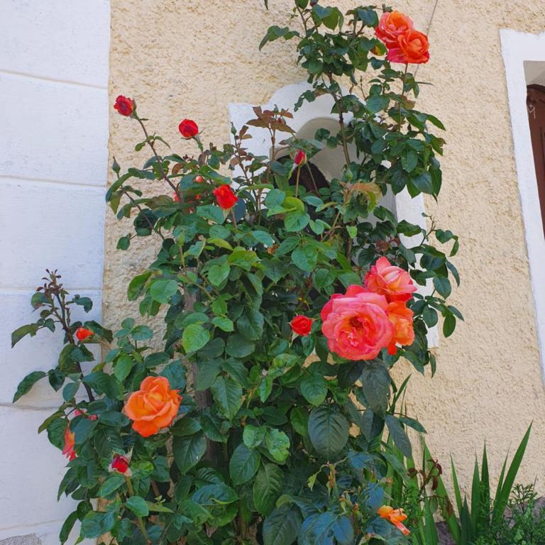 Stoffenhof - Apartment mit Terrasse - 32