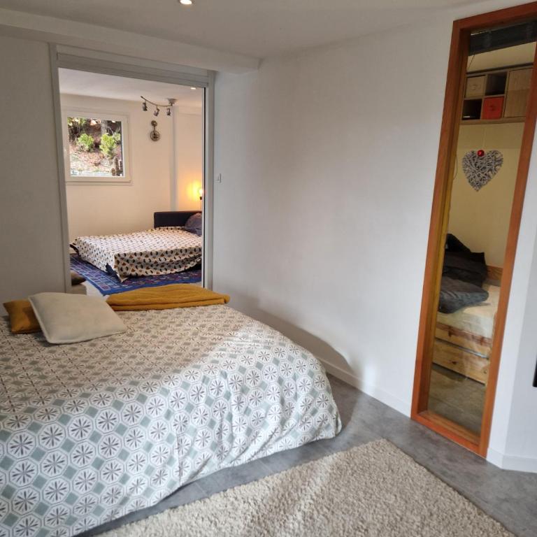 Le petit appart de Pomme - Appartement 2 Chambres avec Terrasse - 13
