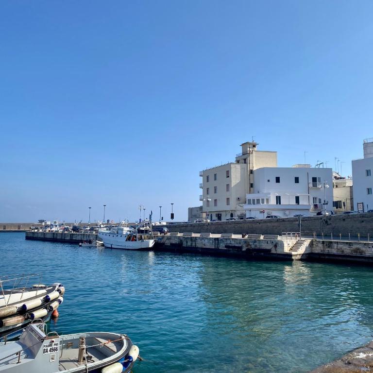 Casa Luisa - Puglia Mia Apartments - Casa Vacanze - 3