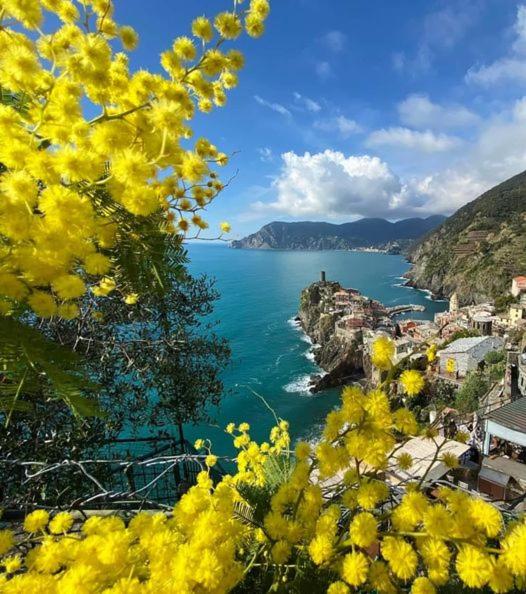 Appartamento Linda a pochi passi dal mare - 011030-LT-0357 - Two-Bedroom Apartment - 34