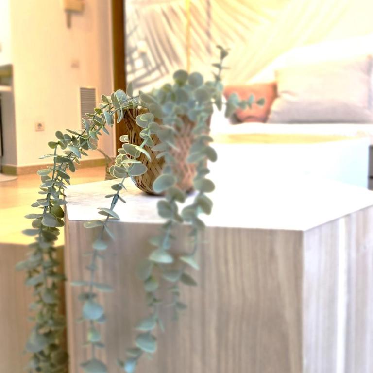 BEACH VALENCIA LUXURY B40-7 Apartament on Beach - Apartamento de 1 dormitorio - 21