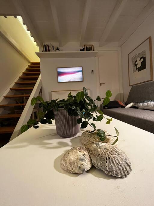 Casa de invitados, a pie de playa, en La Torre Verde - Apartamento de 1 dormitorio - 13