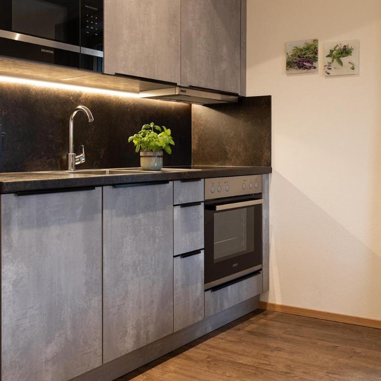 Landhaus Grossarl - Appartamento con Vista Giardino - 4