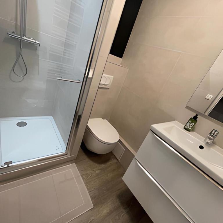 Cocon Cosy Nancy centre - Appartement 1 Chambre - 3