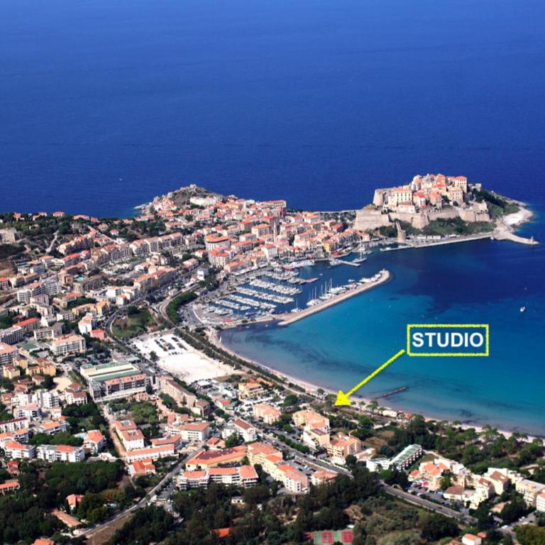 Appartement ou Studio la mer & la plage à vos pieds CALVI - Studio with Sea View - 2