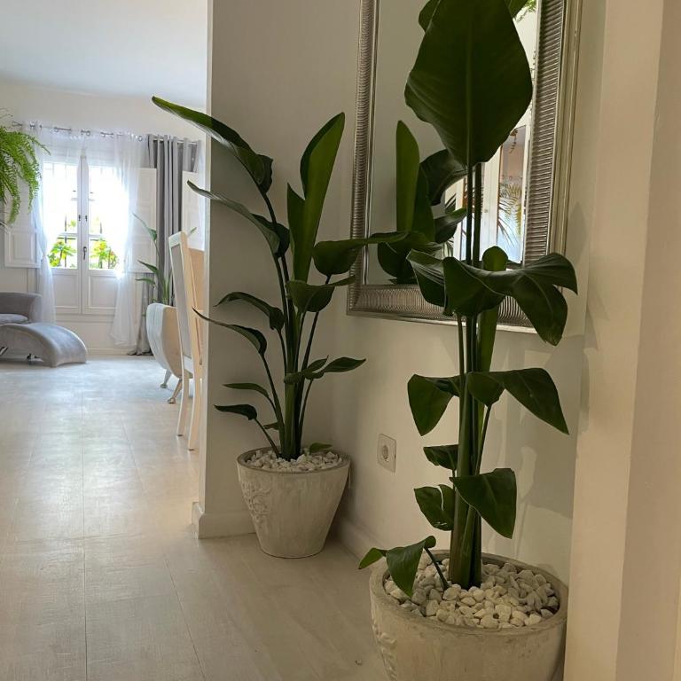 Home Away From Home Marbella - Apartamento con patio - 8