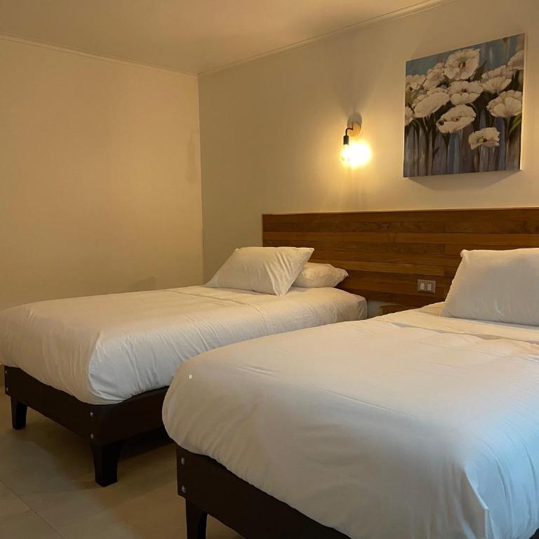 Cabañas Pachamama Casablanca - Chalet de 2 dormitorios - 6