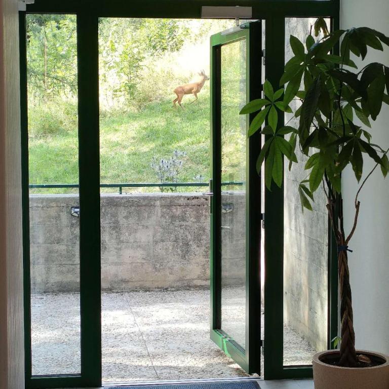Center, Sauna, View - Haus LINARIA - Ferienhaus - 14