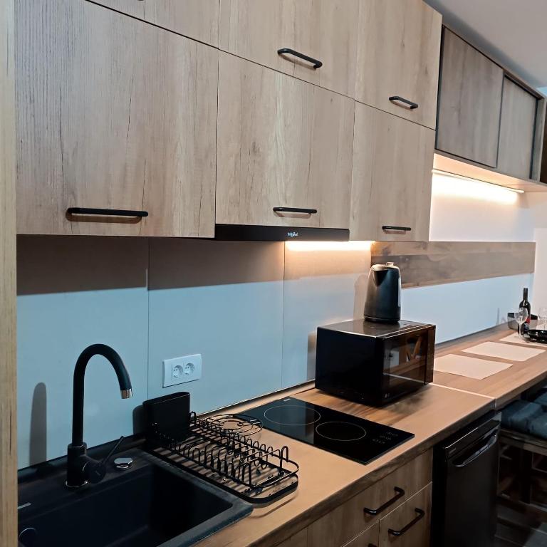 PETRA Apartman Kopaonik - Apartman sa 1 Spavaćom Sobom - 8