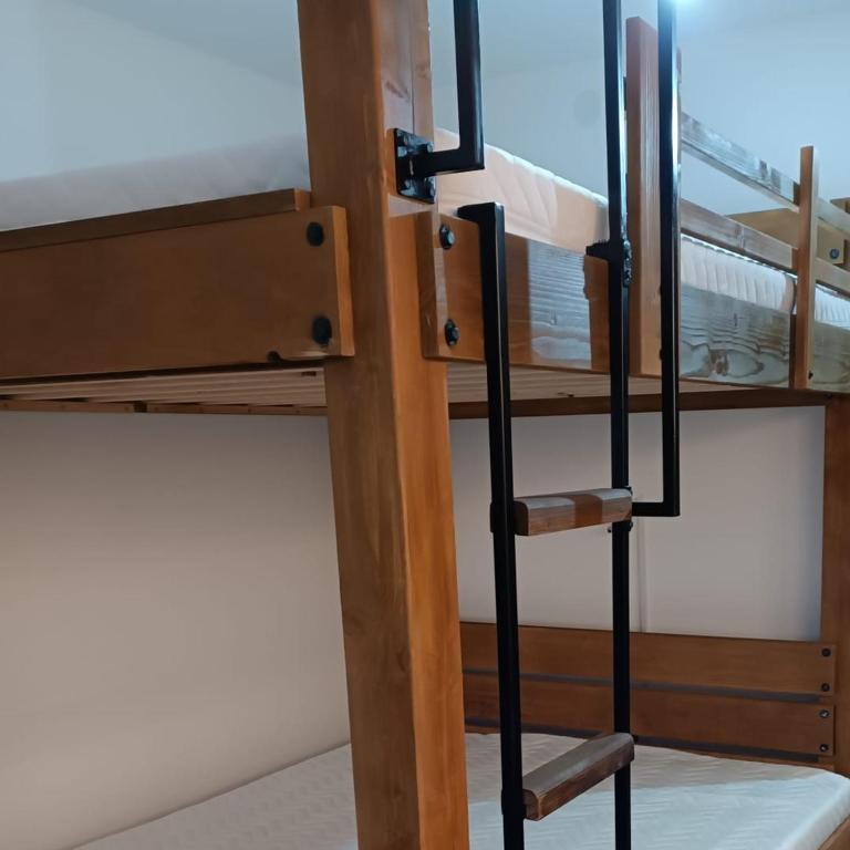 PETRA Apartman Kopaonik - Apartman sa 1 Spavaćom Sobom - 17