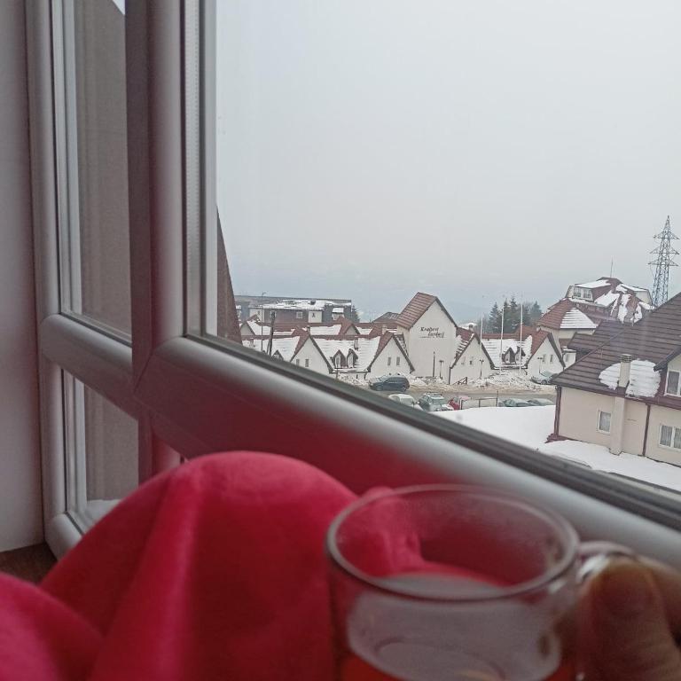 PETRA Apartman Kopaonik - Apartman sa 1 Spavaćom Sobom - 4