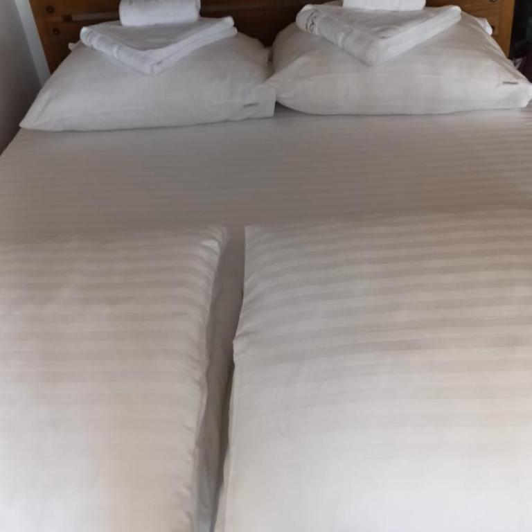 PETRA Apartman Kopaonik - Apartman sa 1 Spavaćom Sobom - 13