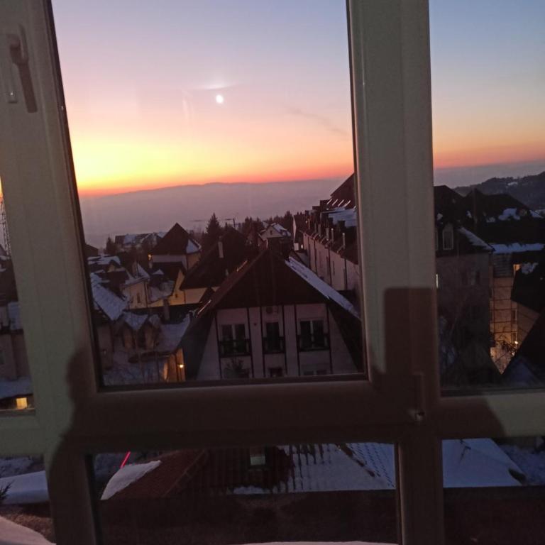 PETRA Apartman Kopaonik - Apartman sa 1 Spavaćom Sobom - 19