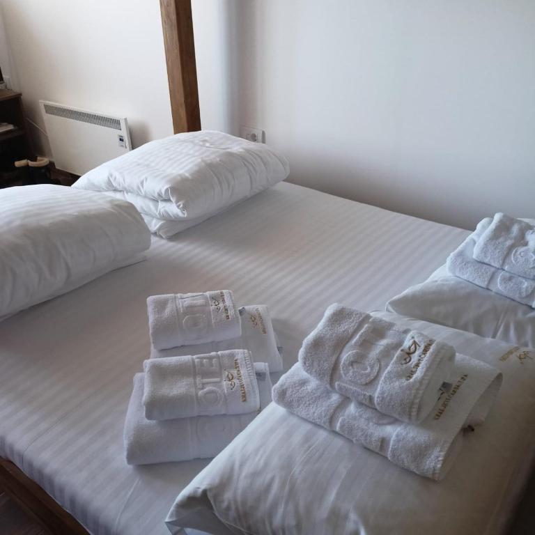 PETRA Apartman Kopaonik - Apartman sa 1 Spavaćom Sobom - 14