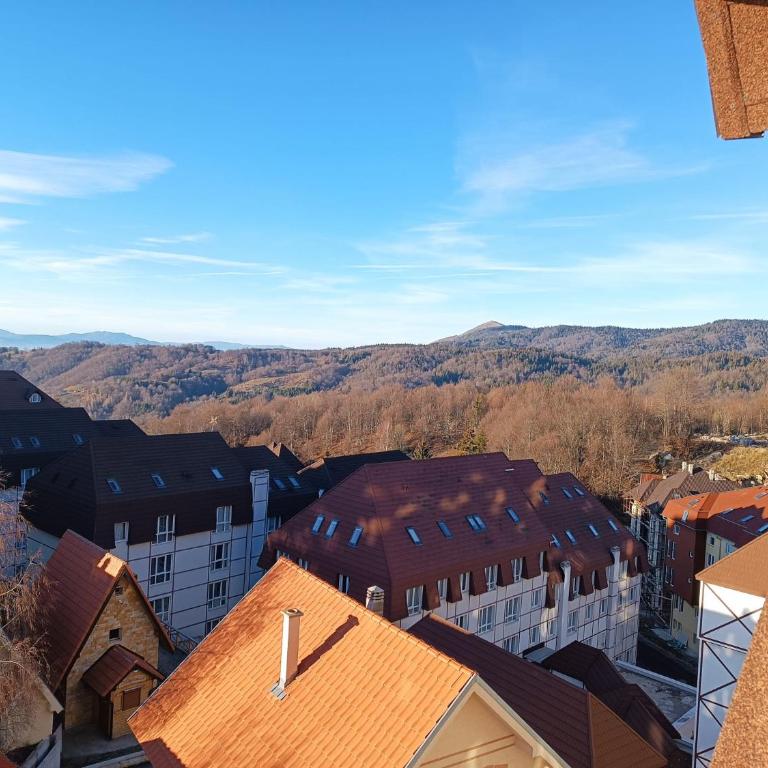 PETRA Apartman Kopaonik - Apartman sa 1 Spavaćom Sobom - 36