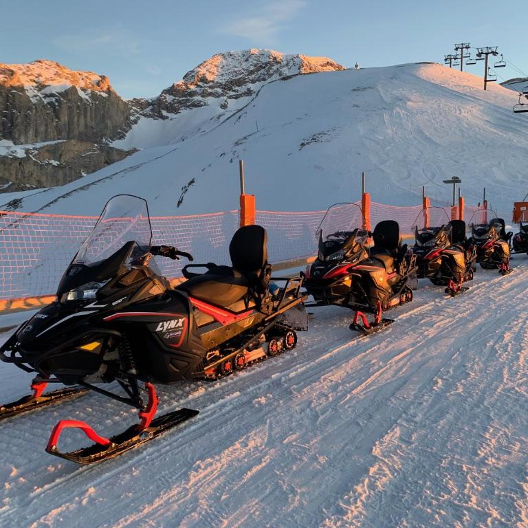 Eden sur les pistes avec vue panoramique sur la vallée - Appartement - 38