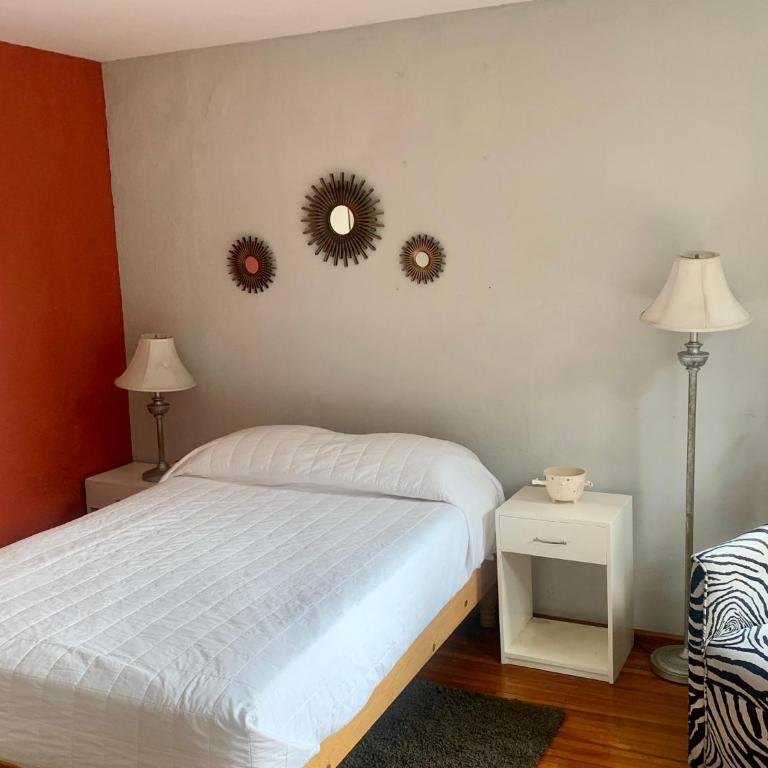 Satya Suites & Portal San Angel Flats - Studio with Terrace - 7