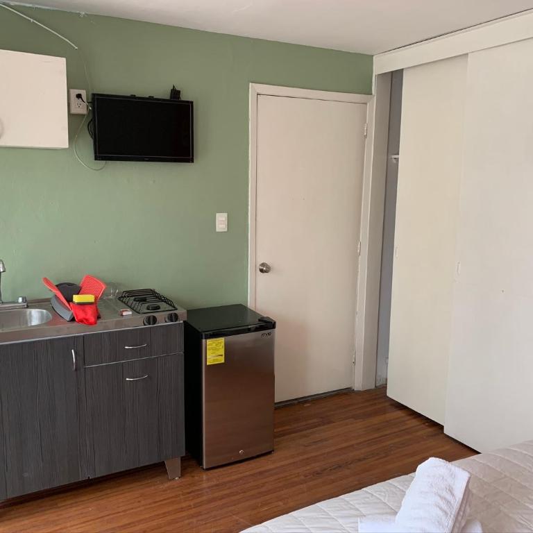 Satya Suites & Portal San Angel Flats - Studio with Terrace - 4