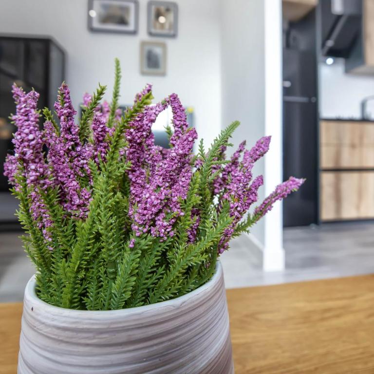 Garesc Lofts - Loft - 15