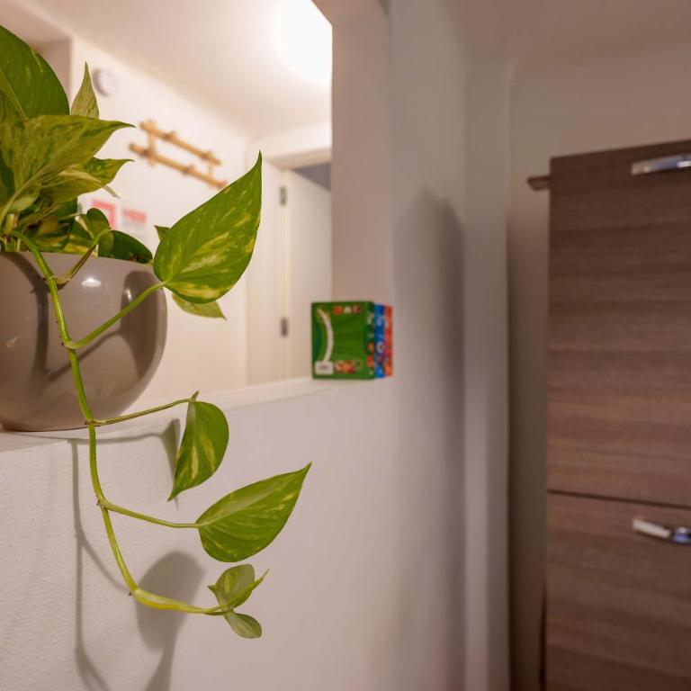 Cavaticcio apartment by Lesdomus - Appartamento con 1 Camera da Letto - 10
