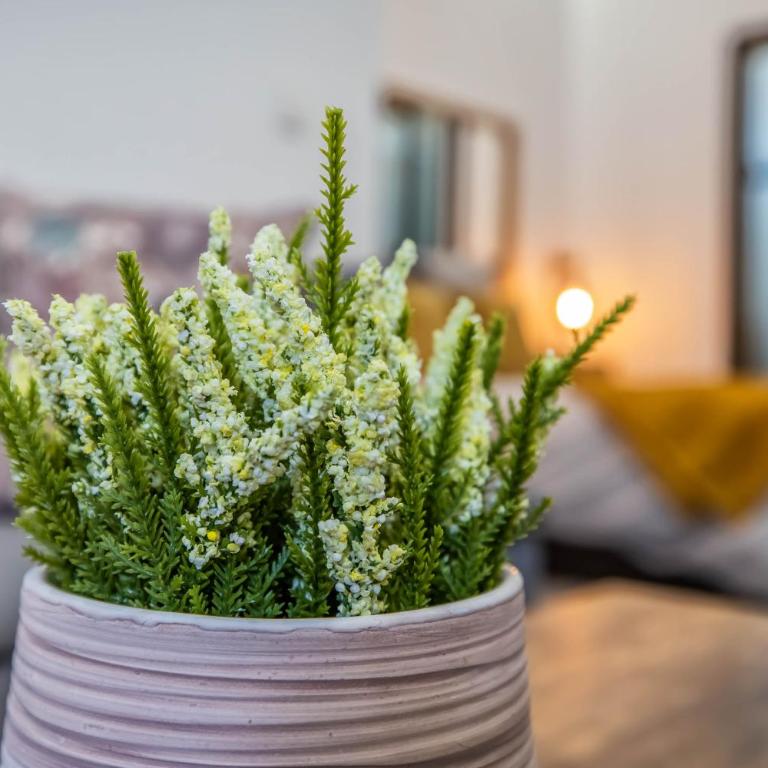 Garesc Lofts - Loft - 16
